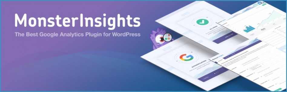 Monsterinsight Analytics-WordPress-Plugin
